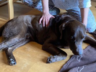 Anuuk ist nun entspannt und müde