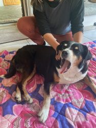 ... nun bin ich entspannt und faul